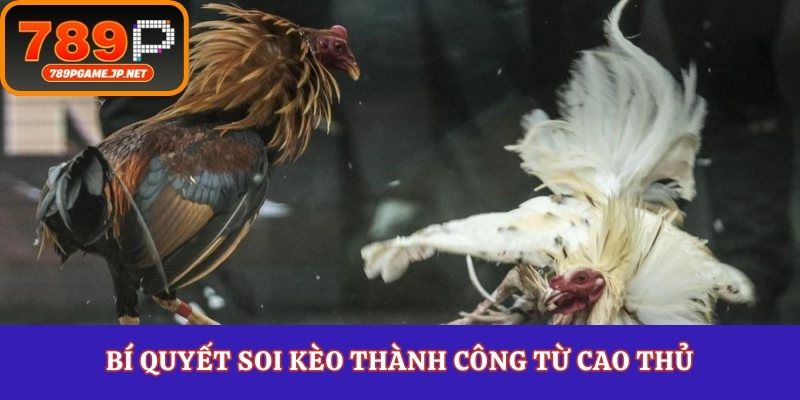 Bí quyết soi kèo thành công từ cao thủ